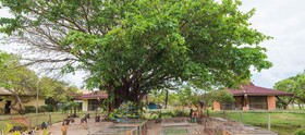 Vila Galé Mares