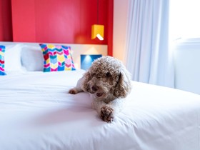 IBIS Styles Campina Grande