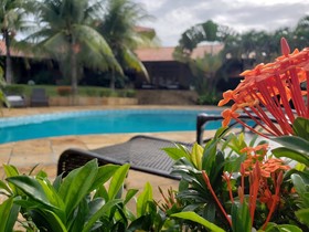 Kiwi Pousada & Lounge