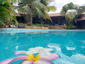 Kiwi Pousada & Lounge