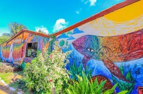 Boldro Surf House - Noronha