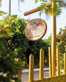 EcoCharme Pousada Netuno