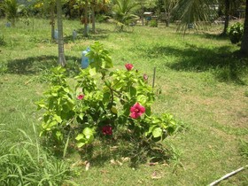Pousada Canto do Boldró