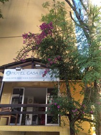 Casa Da Praia