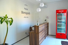 Hostel Borogodó