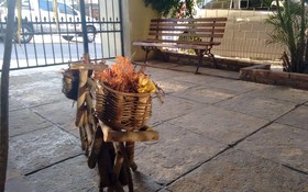 Nalu Beach Hotel
