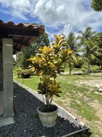 Pousada Flor De Alecrim