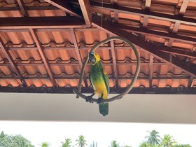Pousada Flor De Alecrim