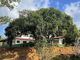 Pousada Flor De Alecrim