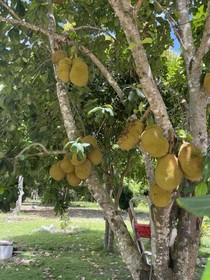Pousada Flor De Alecrim