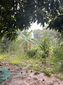 Pousada Flor De Alecrim