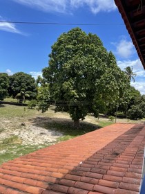Pousada Flor De Alecrim