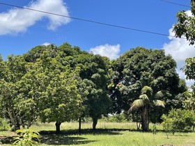 Pousada Flor De Alecrim
