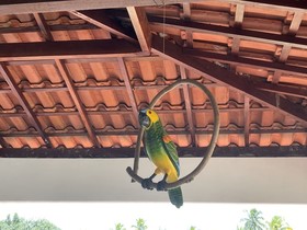 Pousada Flor De Alecrim