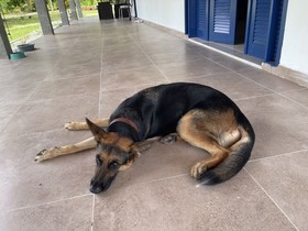 Pousada Flor De Alecrim