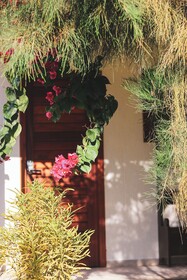 Pousada Casa De Hospedes