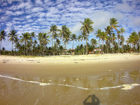 Sea Of Tranquility