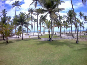 Sea Of Tranquility