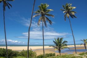 Costa dos Coqueiros