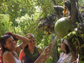 Imbassaí Eco Hostel Lujimba