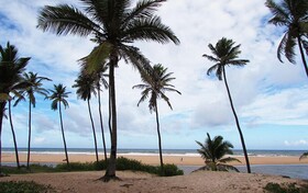 Pousada Caminho do Mar