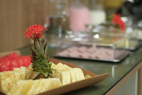 Atlântico Sul Hotel