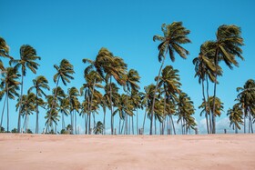 Pousada Luar De Maracaipe