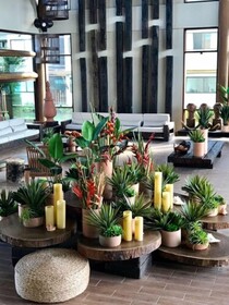 Samoa Beach Resort