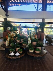 Samoa Beach Resort