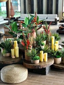Samoa Beach Resort