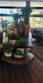 Samoa Beach Resort