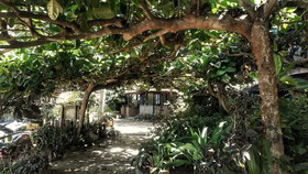 Pousada Terral