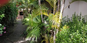 Pousada Tropicalia