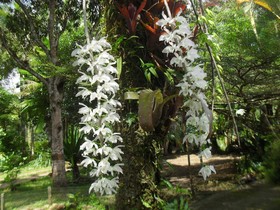 Paraíso das Águas