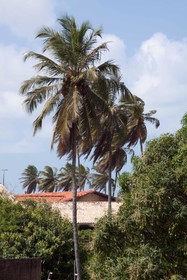 Kastel Jampa