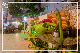 Frederica Hostel