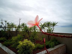 Hotel Verdegreen
