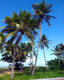 Littoral Hotel