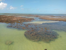 Pousada dos Girassóis