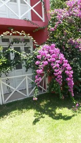 Pousada Macamirim