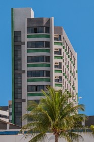 7 Coqueiros
