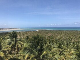 Hilton Garden Inn Maceio