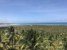Hilton Garden Inn Maceio