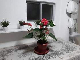 Hostel E Suites Pajucara