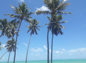 Pousada Boneca De Pano