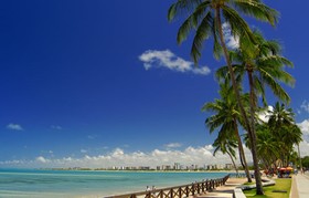 Tropicalis Palms Hotel