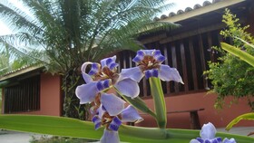 Brisa do Mar