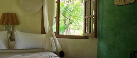 Butterfly House Bahia