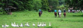 Fazenda Marrecas Eco-Hotel