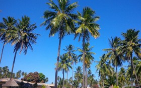 Grand Oca Maragogi Resort